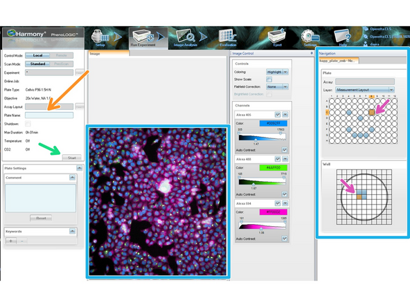 Go to Run Experiment