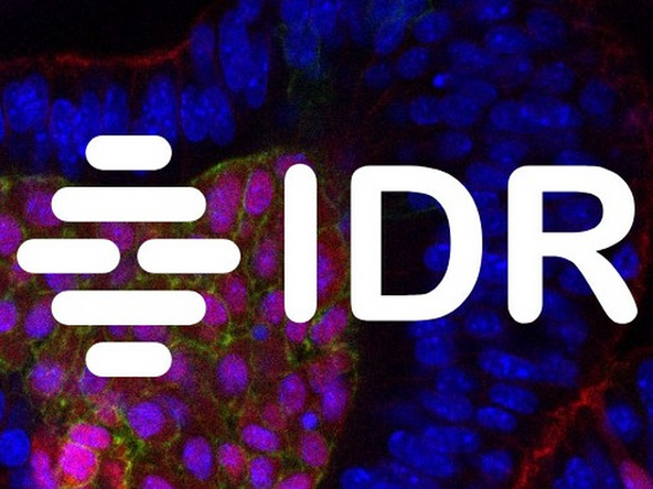 https://idr.openmicroscopy.org/