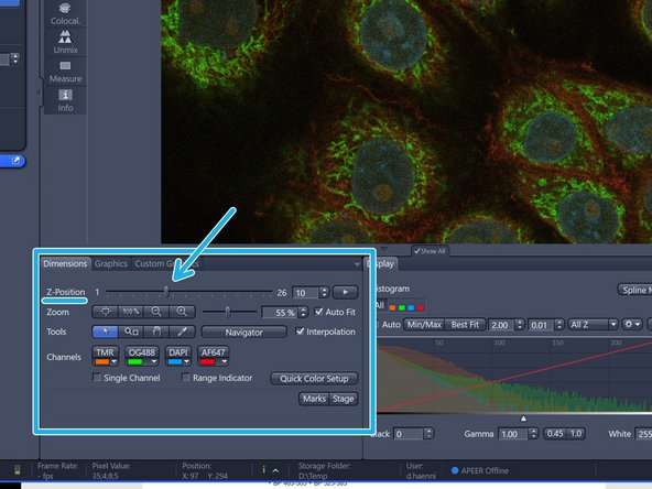 After acquisition you can navigate trough the slices of your stack in the "Dimensions" tab.