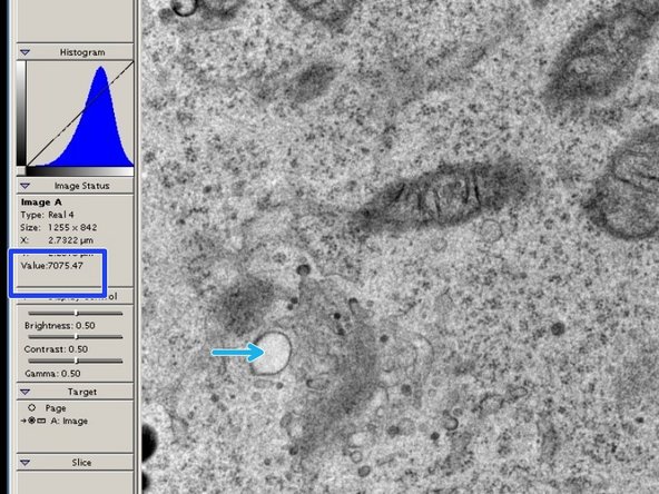 If you see this &quot;honeycomb&quot; like structure, the intensity is by far to high and you need immediately to dim the electron beam, or retract the camera out of the beam.