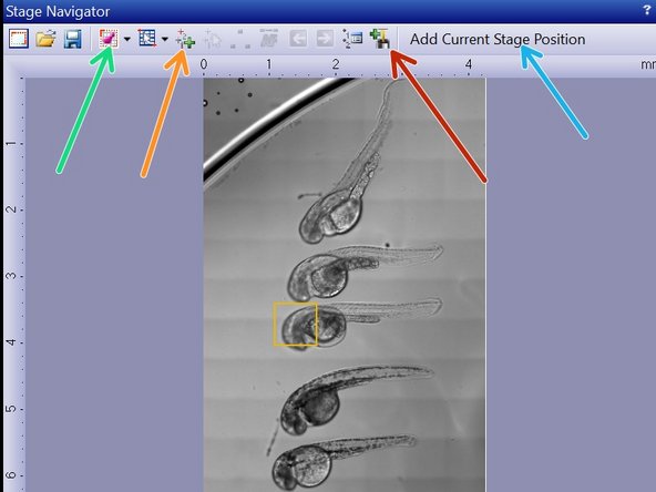 Activate ZDC offset measurement when adding a new position.