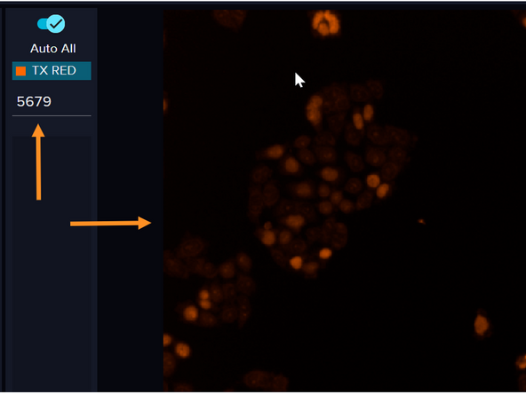 Adjust the laser power and/or exposure time until your signal falls within the optimal range for your sample.
