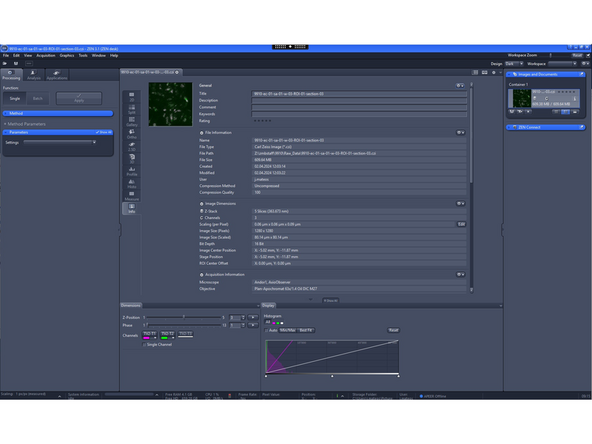 Click on the info tab to see the metadata values