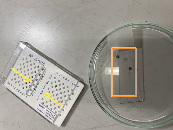 The carbon side of the cryo EM grid is typically oriented towards the center of the grid box.
