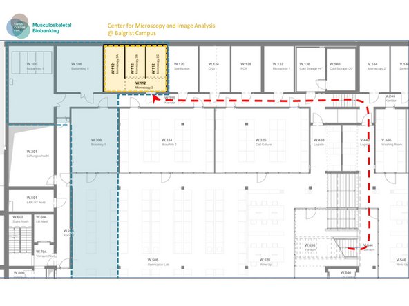 Proceed along the corridor.