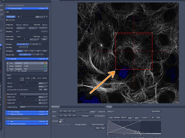 Change your field of view by using either the zoom factor (the area of interest should be centered) or choosing "Crop Area".