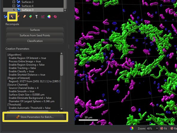 Classification can also be included in batch processing. For that click &quot;Store Parameters for Batch&quot; after successful classification.