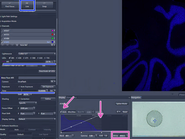 AF405 (DAPI) is selected by default. The rational is that if the scanner is focusing well on nuclei, then all other structures on other channels will be also in focus
