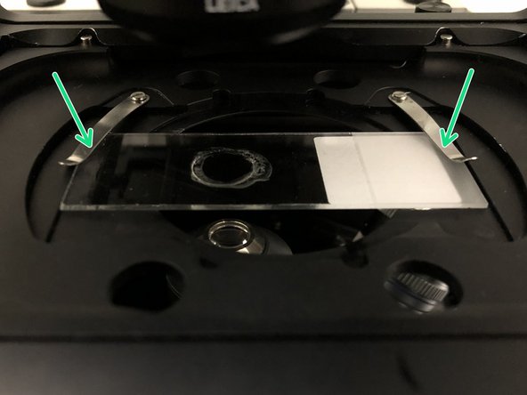 Insert your sample with the coverslip facing down and fix it with the two springs.