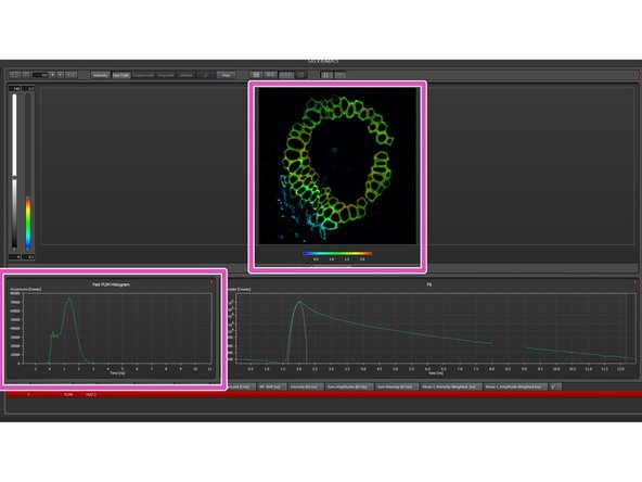 On the right screen, the Fast FLIM image and histogram will automatically appear.