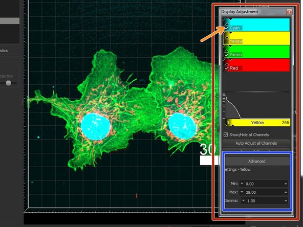 You can adjust the color representations (LUTs) of the different channels in the &quot;Display Adjustment&quot; window