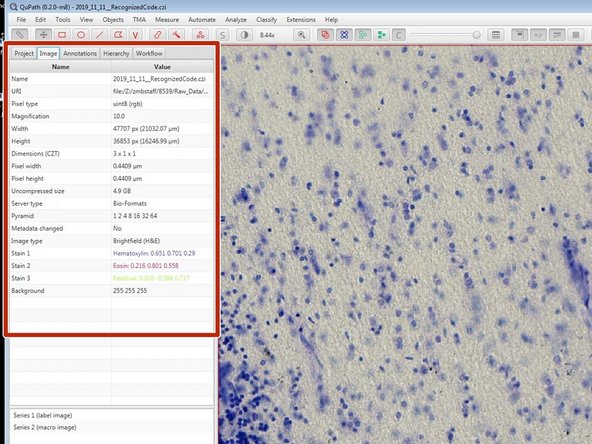 the mouse wheel to zoom in and out.