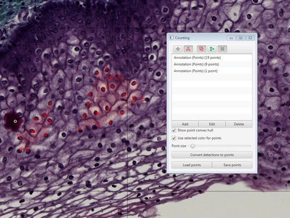 Existing points can also be removed by pressing &quot;Alt&quot; while clicking on an existing region.