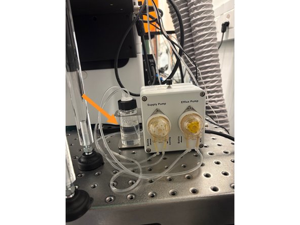 Check if there is enough water in the bottle.