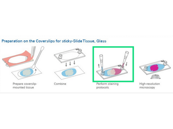 Fill Chamber with PBS or TBS and avoid trapping air bubbles.