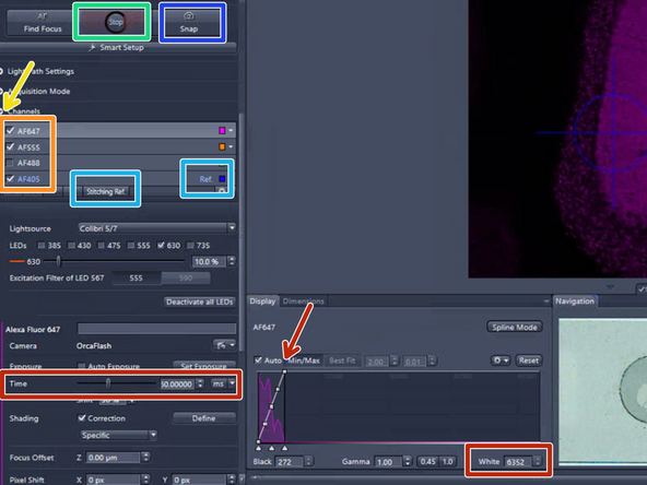 Expand the "Channels" drop down menu.