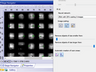 Olympus Spinning Disk - Automatic sample detection using pretrained NN