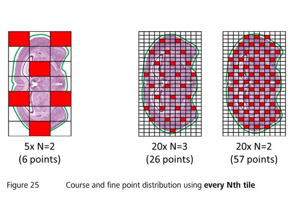 The &quot;Focus Point Distribution Strategy&quot; defines how and how often  the autofocus will be executed