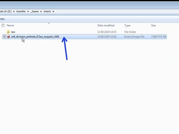 Open your specified folder and double click to visualize your file.