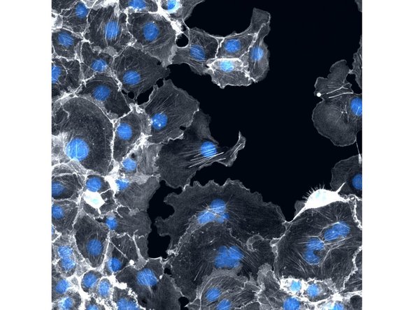 Or continue with the help of our other guides