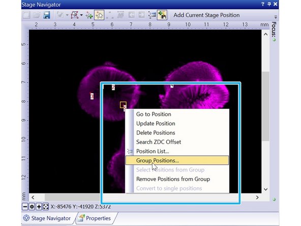 Selected positions will be formatted in red.