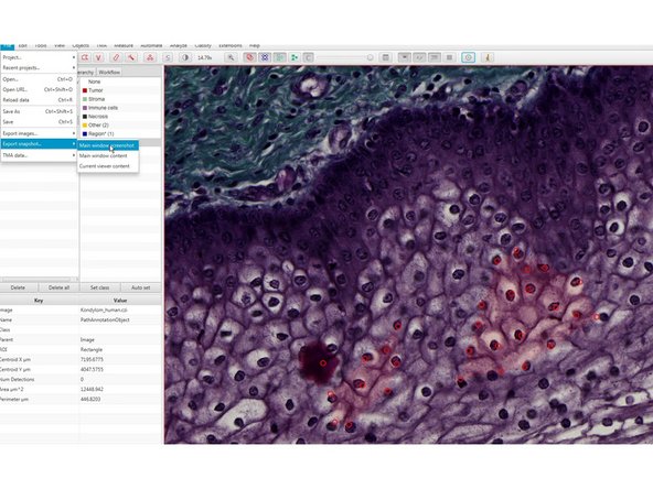 File&lt;Export images&lt;Original pixels (Recommended).