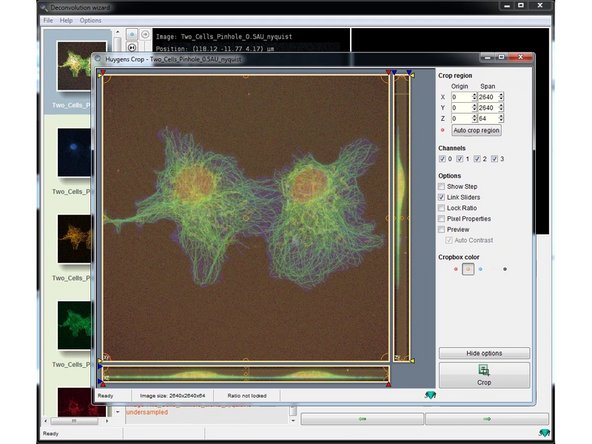 You can crop the 3D stack by clicking &quot;Launch the Cropper&quot;.