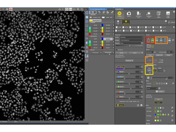Select the objective for imaging