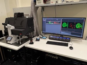 Leica Stellaris 2: Acquire an image in xy and z