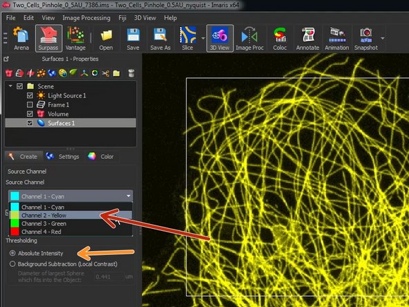 Select the channel you want to segment.