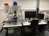 Leica SP8 Inverse (Schlieren): Live Cell Imaging