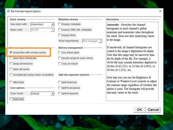 Open files using File&lt;Import&lt;Bio-Formats.