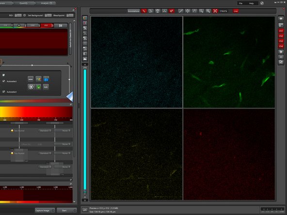 Increase the laser power until you start seeing a singal.