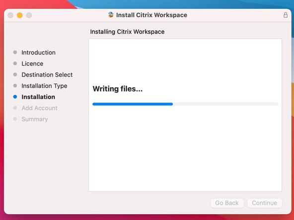 The installation will start and can take some minutes.