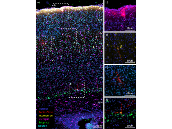 Evaluate results from your run.