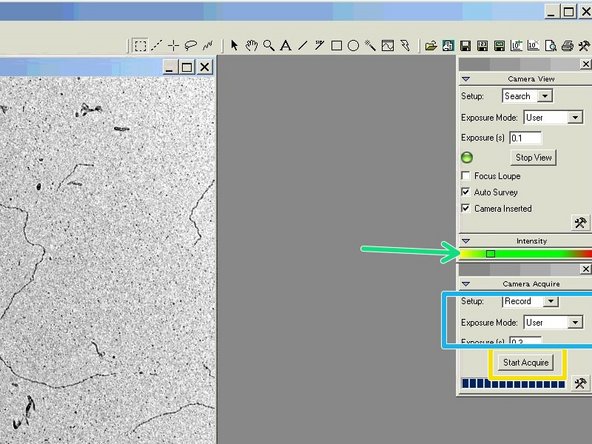 The intensity value should be in the lower green range.