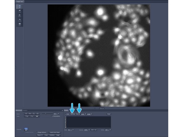 Switch on the fluorescent lamp.