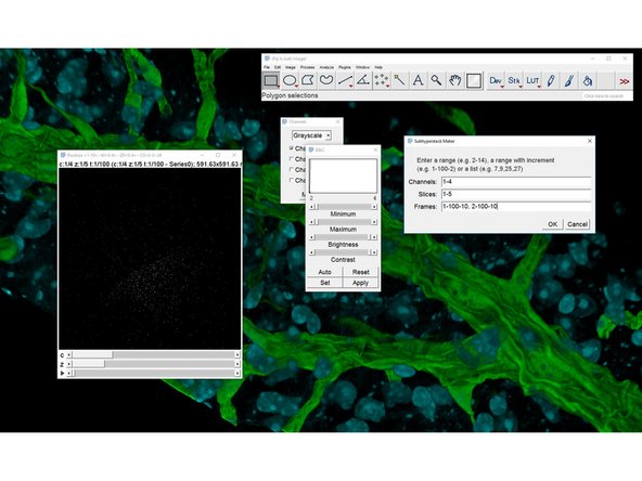 Make a new Substack with an increment to correctly display the time series. Eg. if you have 10 timepoints per position you will need to add an increment of 10.