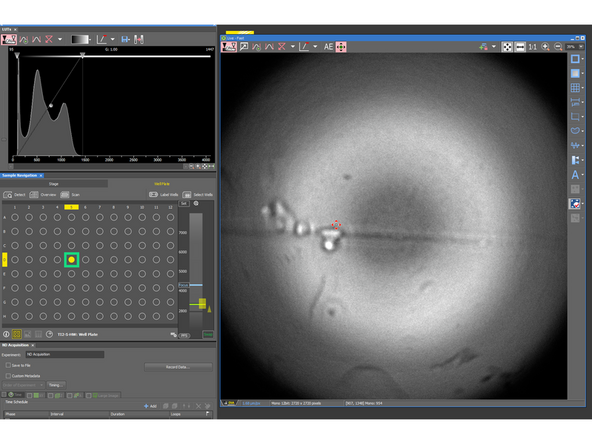 Click on one of the position (e.g. D5) and check whether the well is in the middle