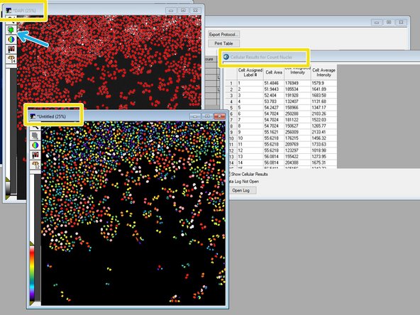 When the analysis is done for your test image, an overlay of the segmentation will be shown in red together with your grayscale image. Additionally, a color-coded segmentation image and cell-by-cell results will be shown.