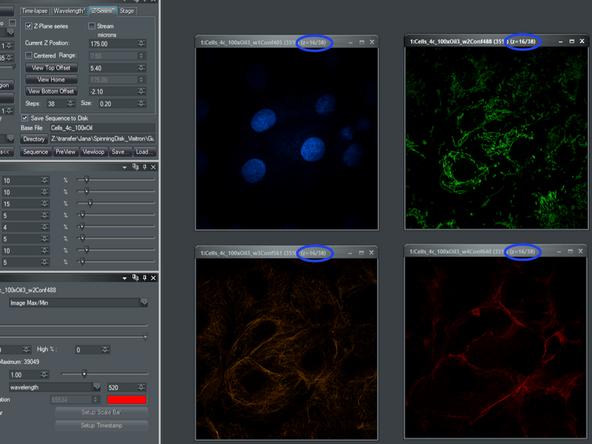 Define now your top and bottom limits of your sample: