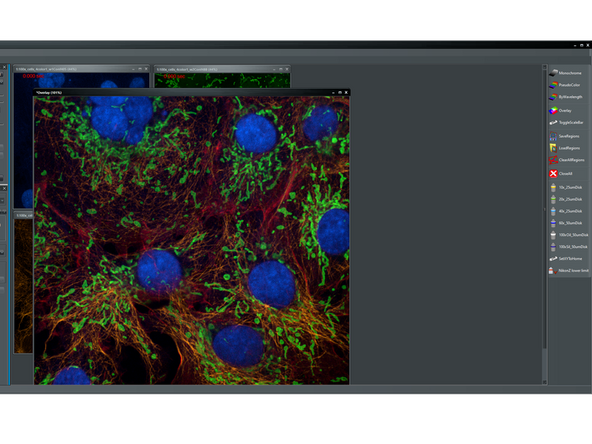 To observe an overlay of the acquired channels:
