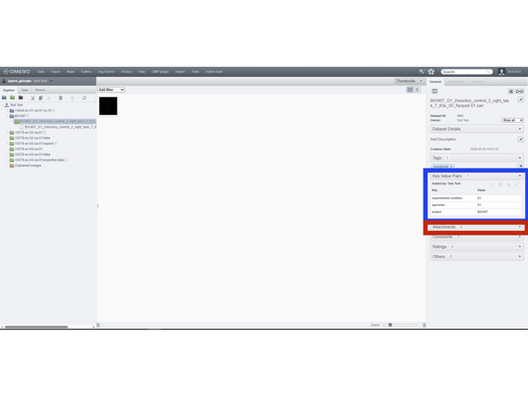 You can add Tags into a specific Project, Dataset, or image. For this, select the appropriate entry from the Project Explorer (left), go to the right-hand side panel, expand the Tags tab and click on the + icon.