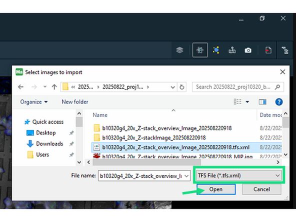 Import the previous acquired iFLM Z-stacks from your project folder, by clicking on the import button and selecting the the .tfs files.