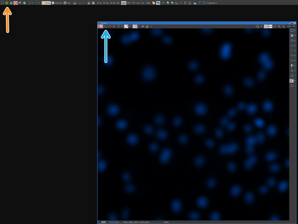 If your samples are stained with DAPI, it is recommended to use it for focusing as it provides usually good contrast.