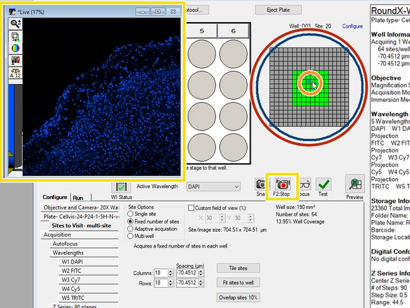 Select ROIs including tissue boundaries.