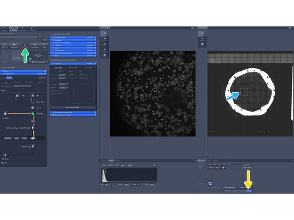 Activate the &quot;Stage tool&quot;.
