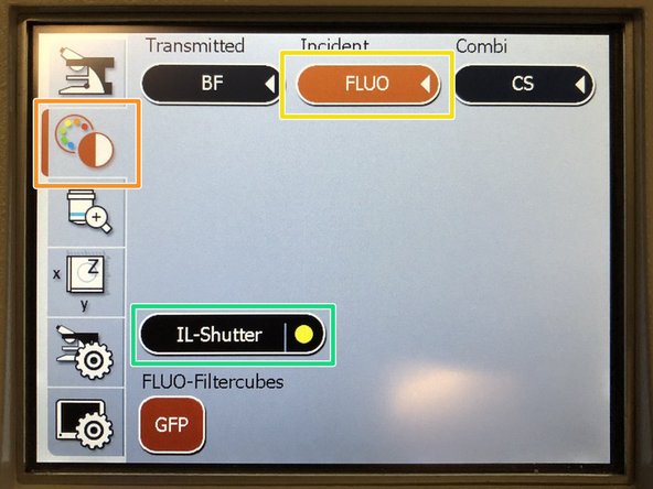 Almost all biological  samples show a green auto fluorescence.