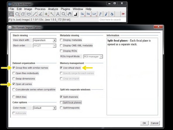 Use the following settings: