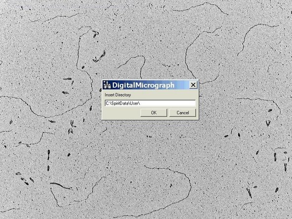 Go to the &quot;ZMB&quot; tab.